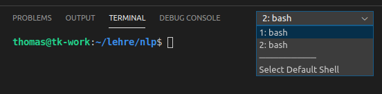 Wechseln des Terminals in VS Code